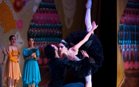 LA GRAN NOCHE DEL BALLET