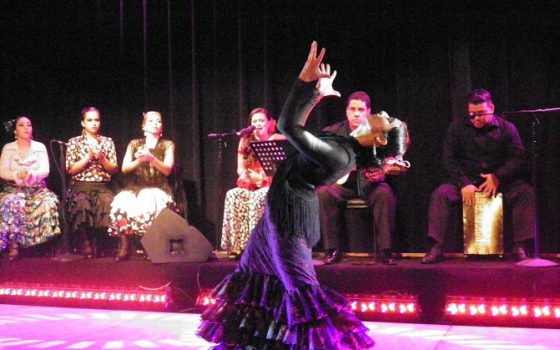 SOLO FLAMENCO – Espectáculo de música y baile